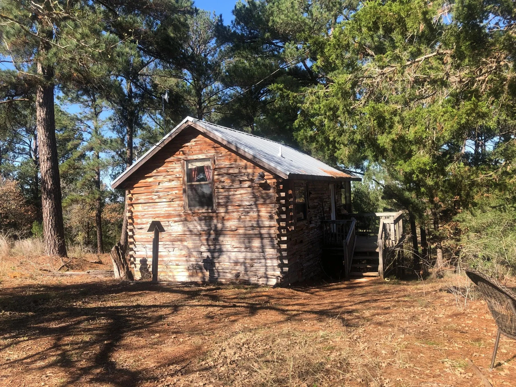 Rustic log cabin beneath pine trees at 9E Ranch