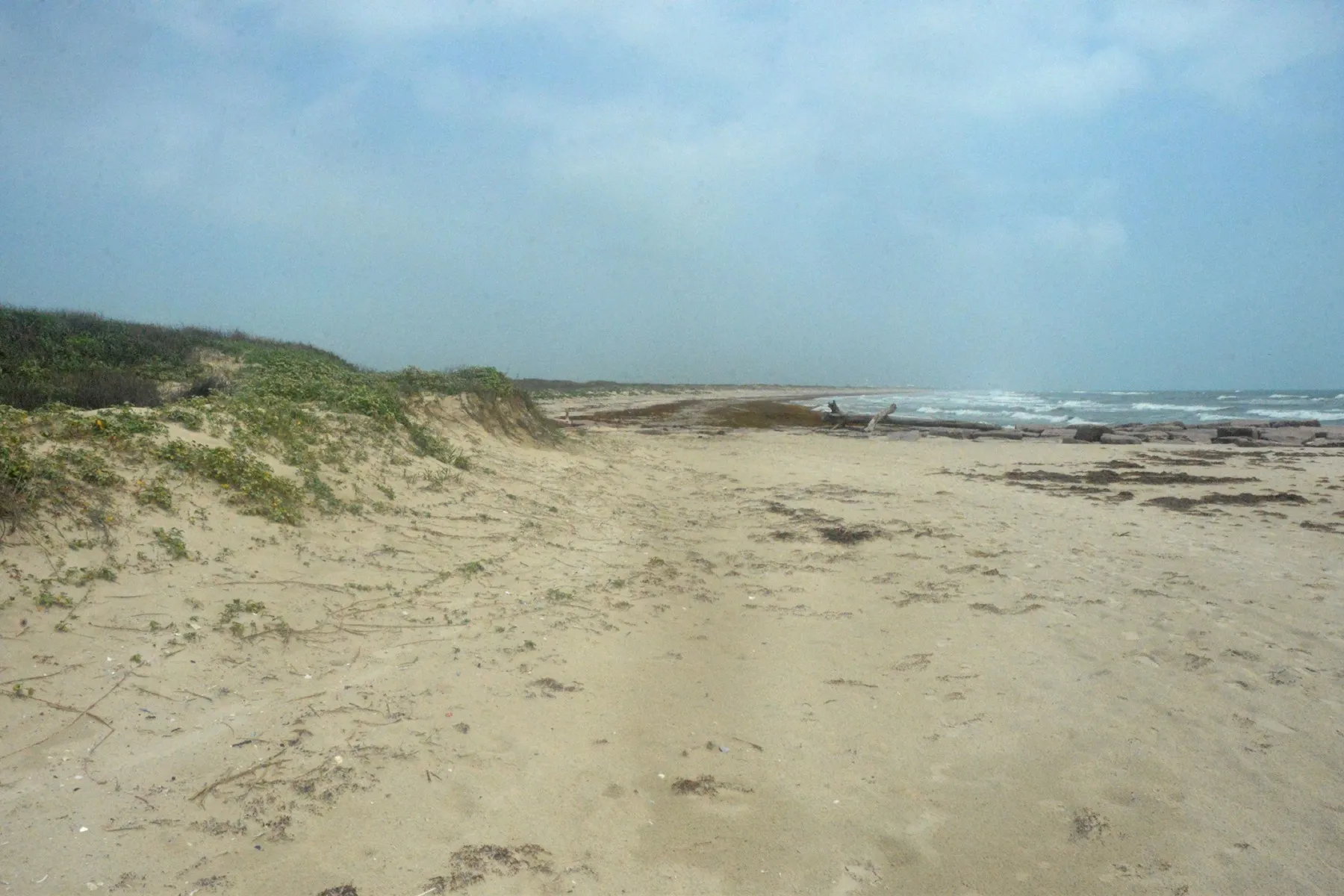 A broad sandy beach and low dunes at Mustang Island State Park