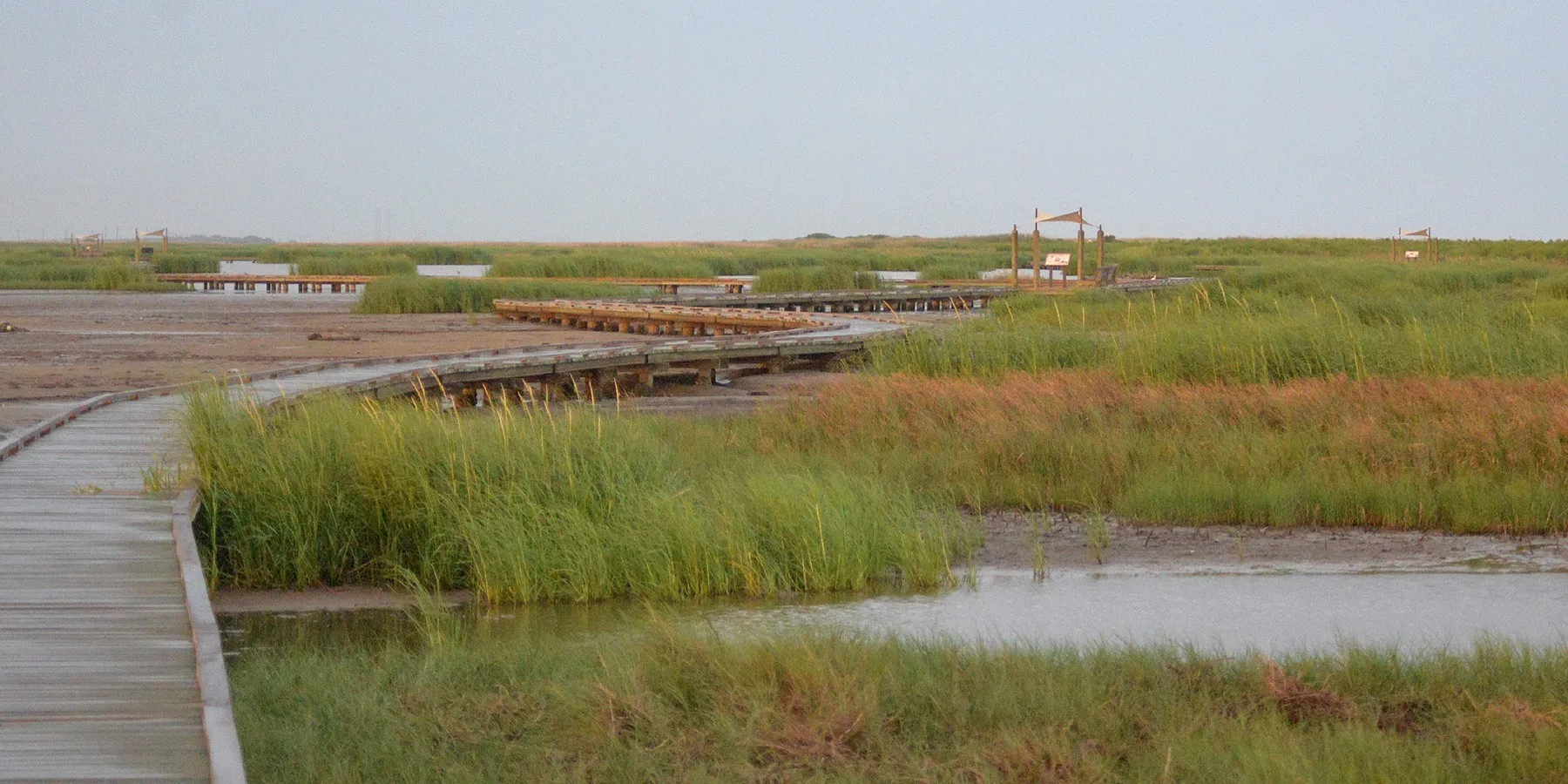 The Gambusia Nature Trail boardwalk crossing marshland at Sea Rim State Park
