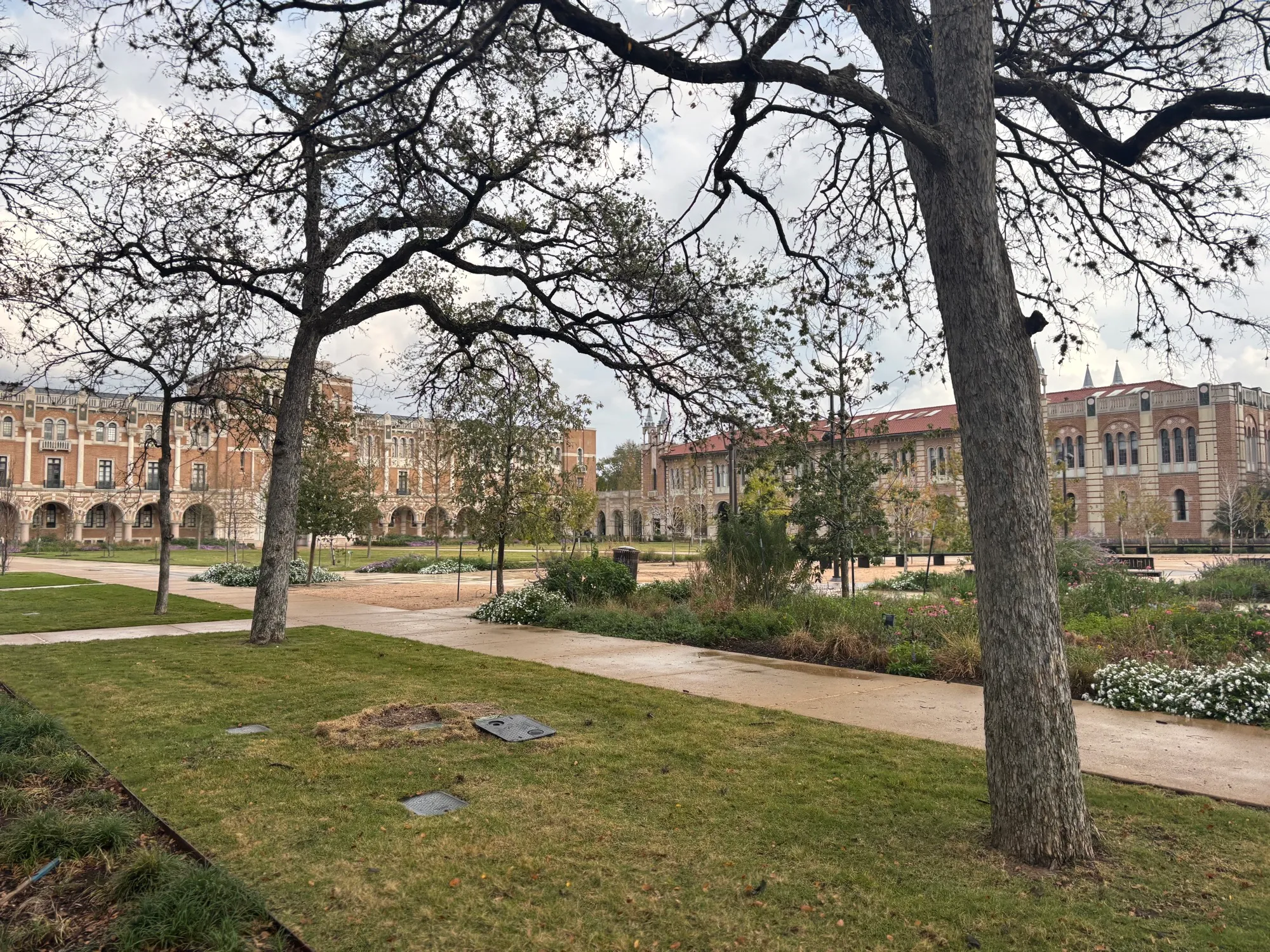 A view across the Rice University campus in Houston