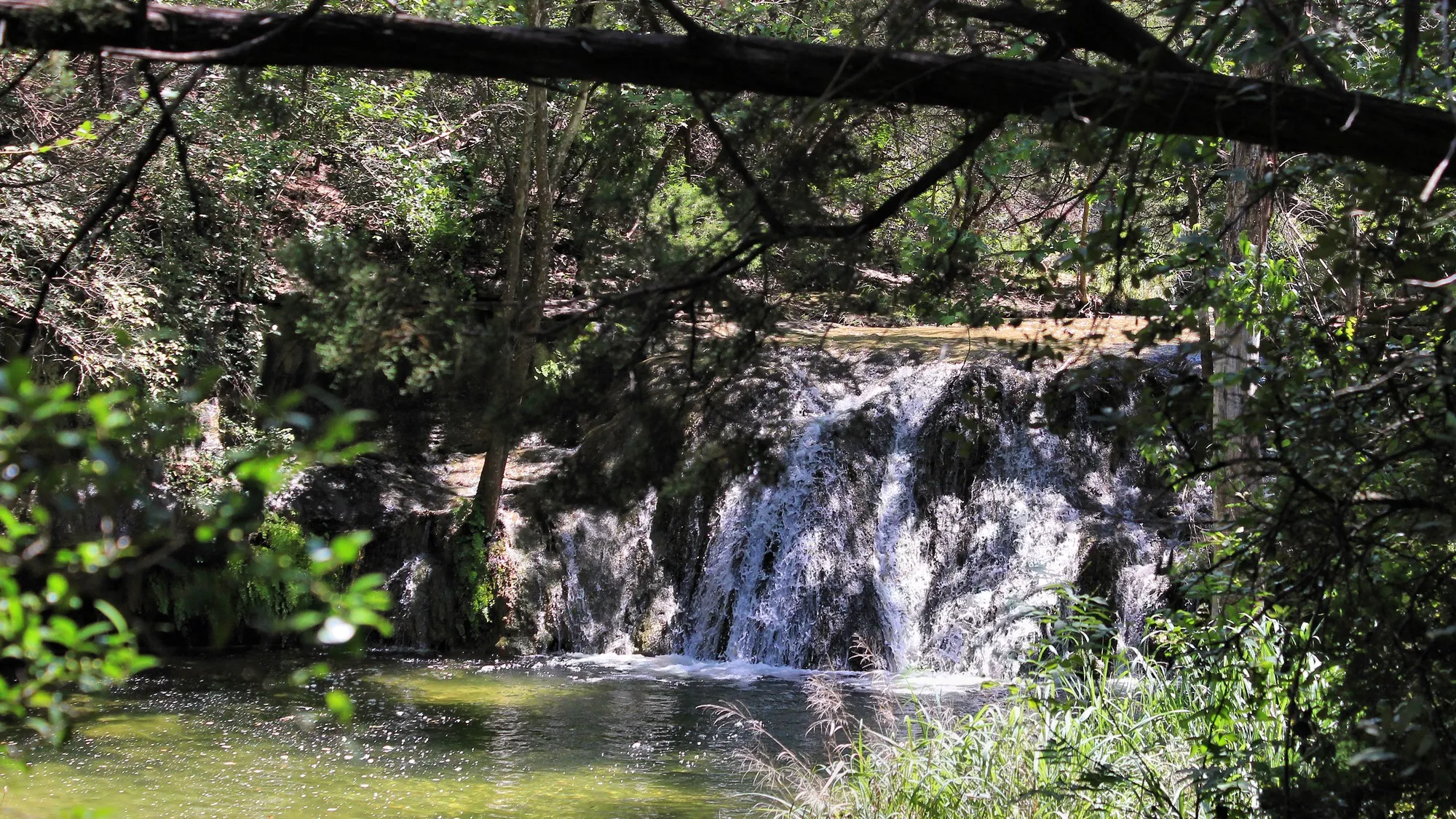 A small waterfall dropping into a shaded pool at Wild Basin Wilderness Preserve