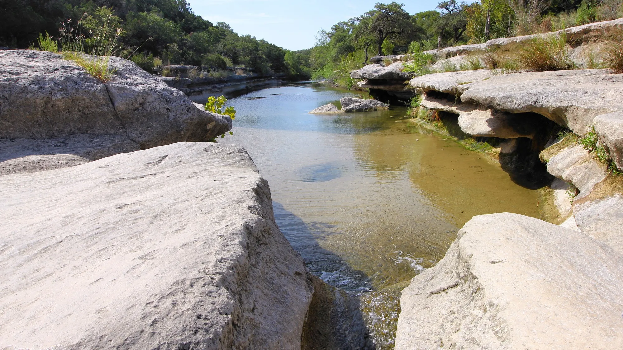 Bull Creek flowing between pale limestone shelves in Bull Creek District Park