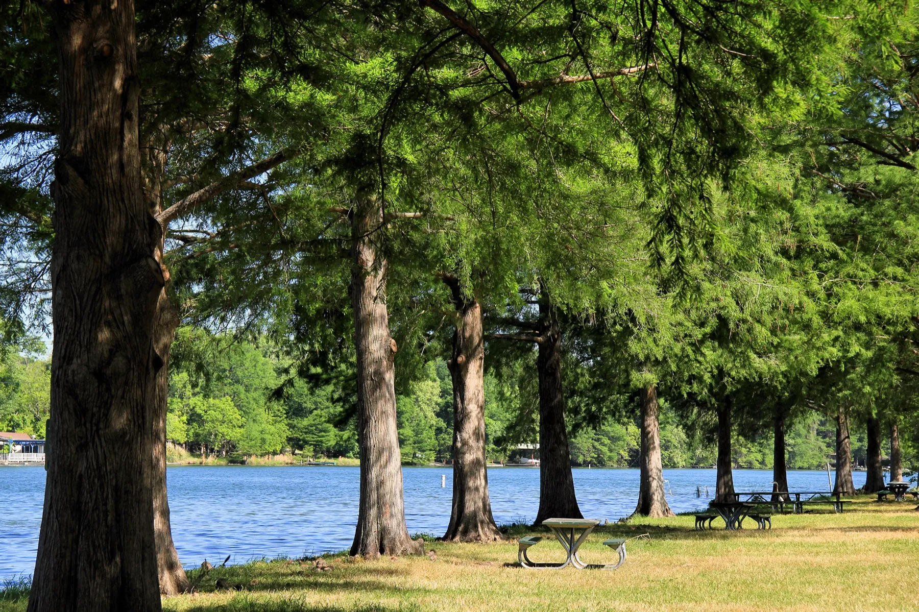Open water and a wooded shoreline on a Texas lake