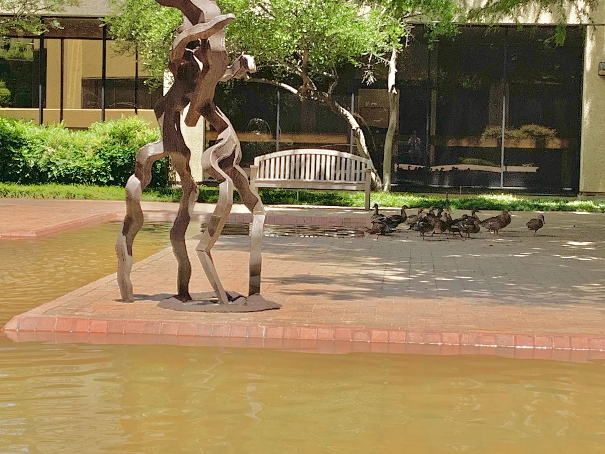 An abstract bronze sculpture beside a reflecting pool on UT Southwestern's South Campus