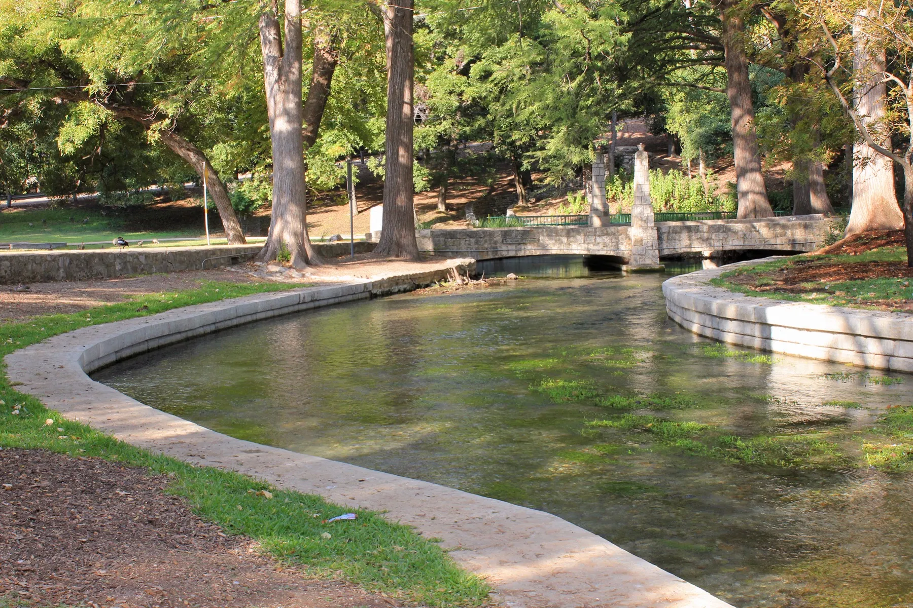 The spring-fed Comal River running through Landa Park in New Braunfels