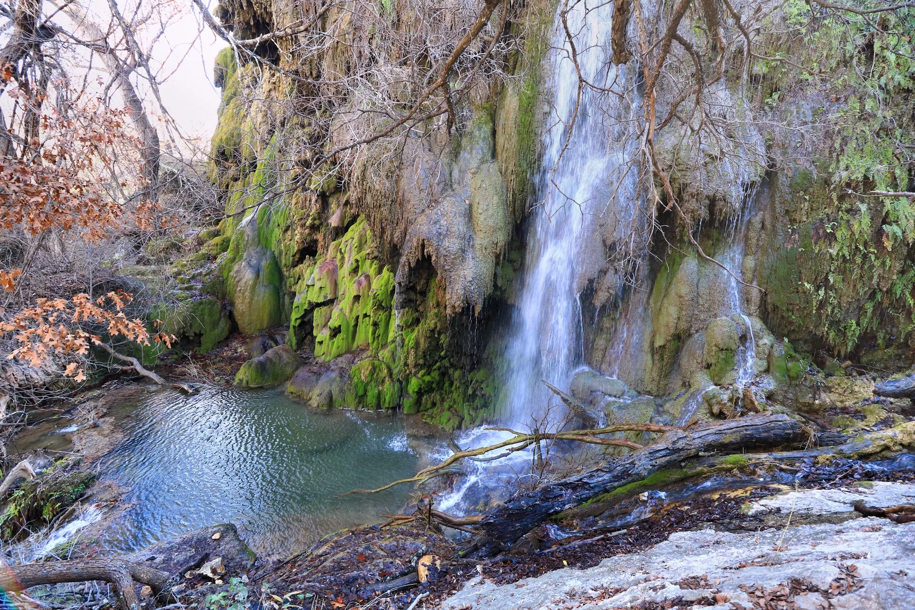 The moss-covered spring-fed Gorman Falls in Colorado Bend State Park