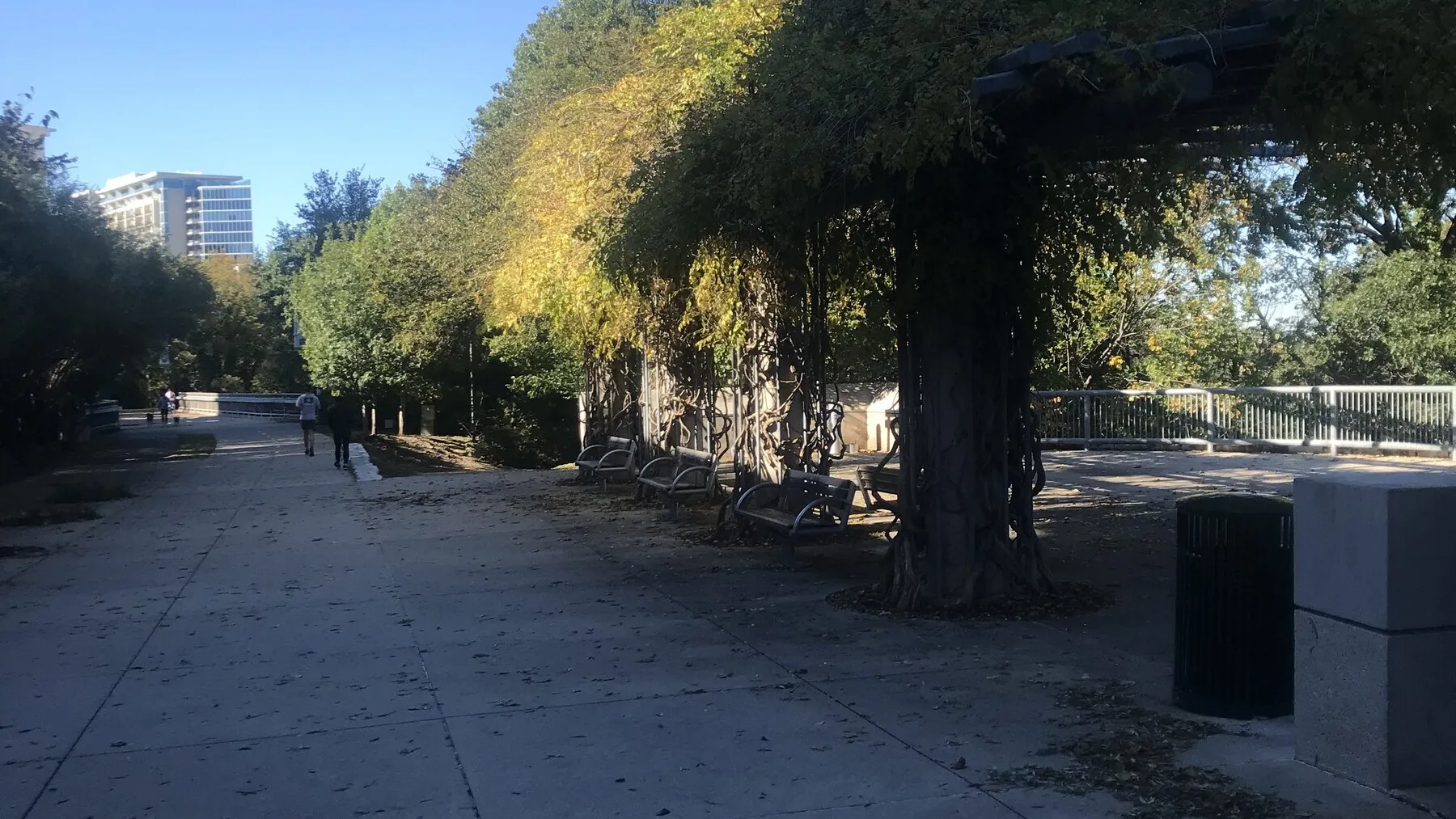 Runners on the paved Katy Trail beside a vine-covered arbor in Dallas