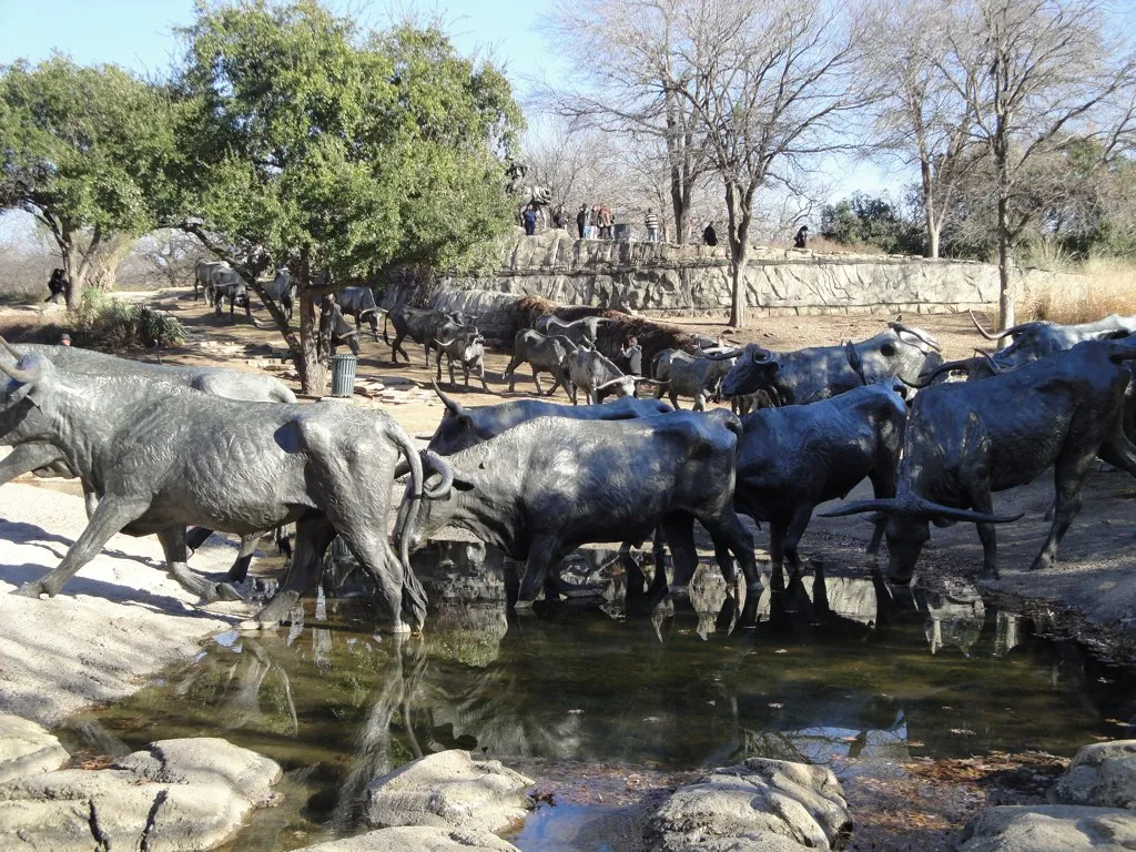The bronze longhorn cattle-drive sculptures at Pioneer Plaza in downtown Dallas