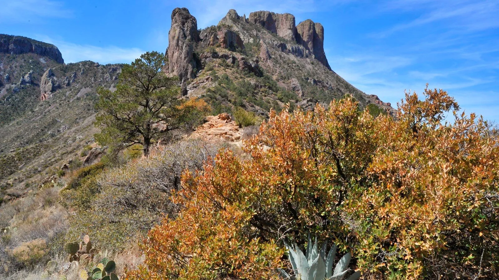 Mountain ridges and desert valleys seen from Lost Mine Trail in Big Bend
