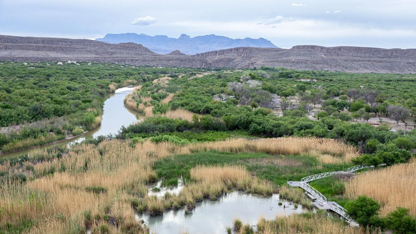 Boardwalk and spring-fed wetland along Rio Grande Village Nature Trail