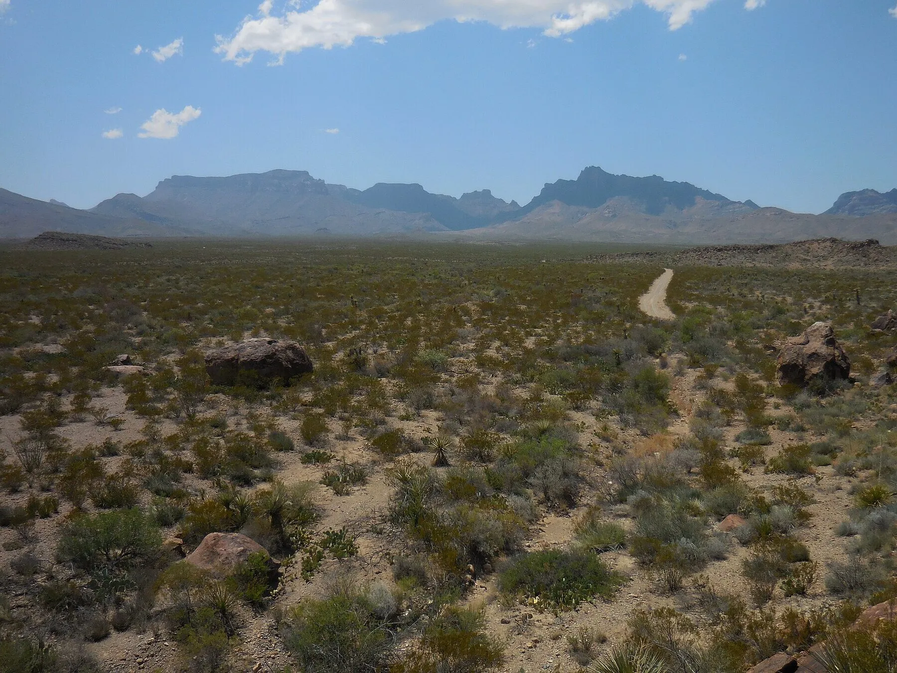 Glenn Springs Road winds across the Chihuahuan Desert toward the distant Chisos Mountains
