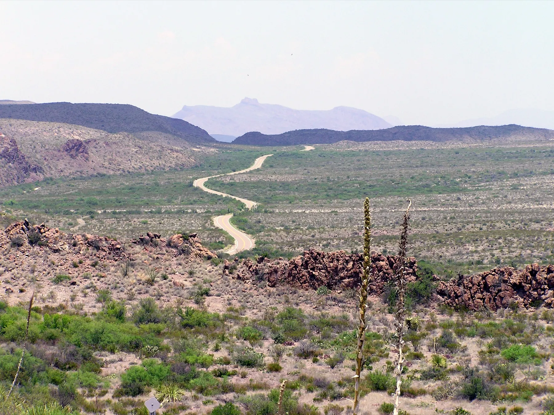 Desert scrub and distant mountains in Big Bend National Park