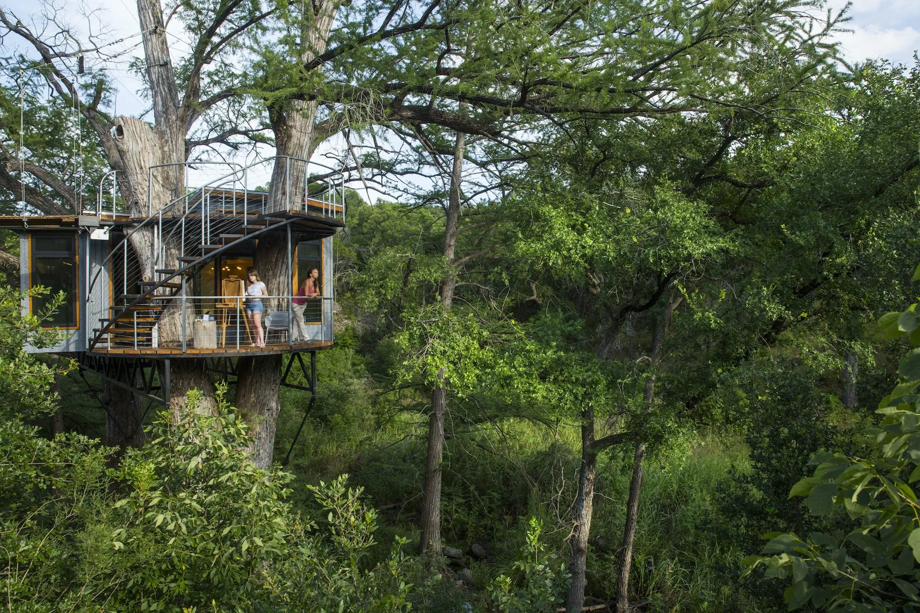 Yoki treehouse and its wooden bridge among the trees at Cypress Valley