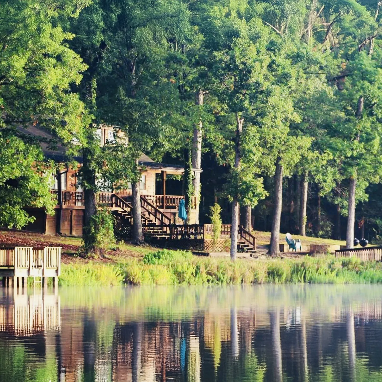 Cabins among tall trees beside the water at Deer Lake Cabins