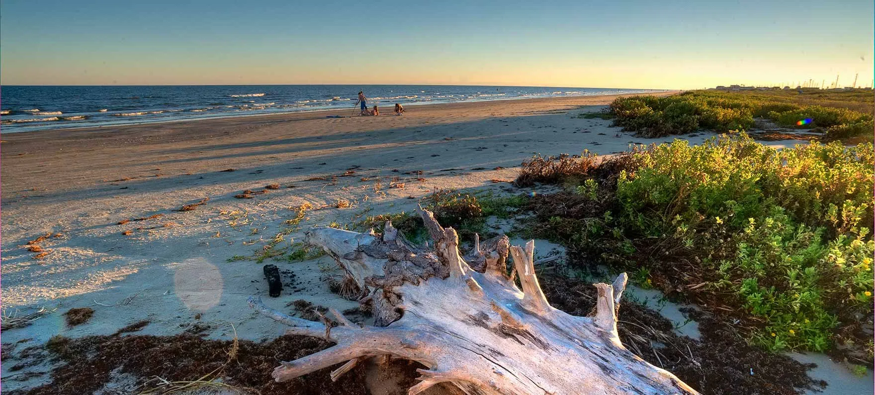 Driftwood and low dunes beside the beach at Galveston Island State Park