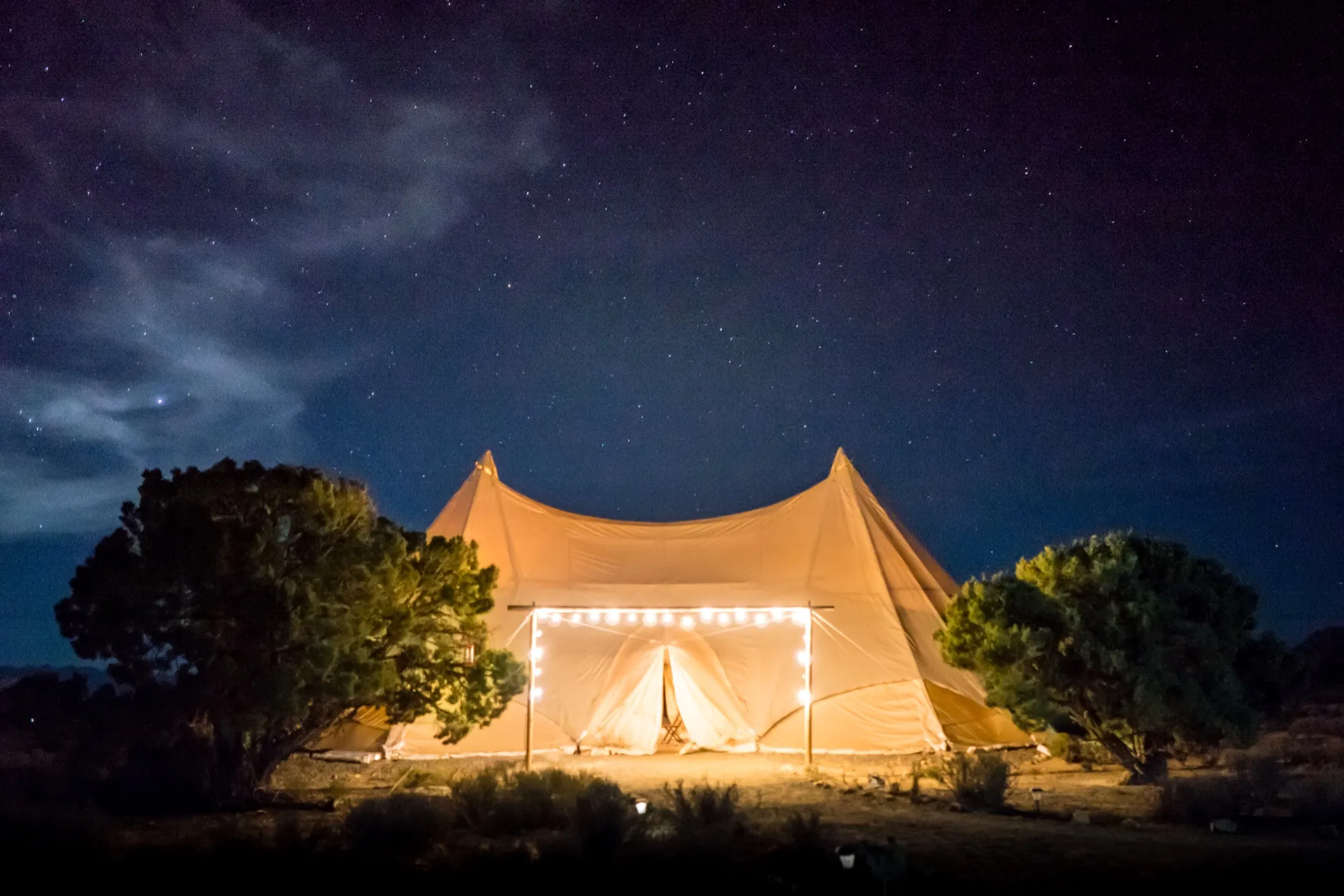 Canvas glamping tents lit at night beneath trees and a starry sky