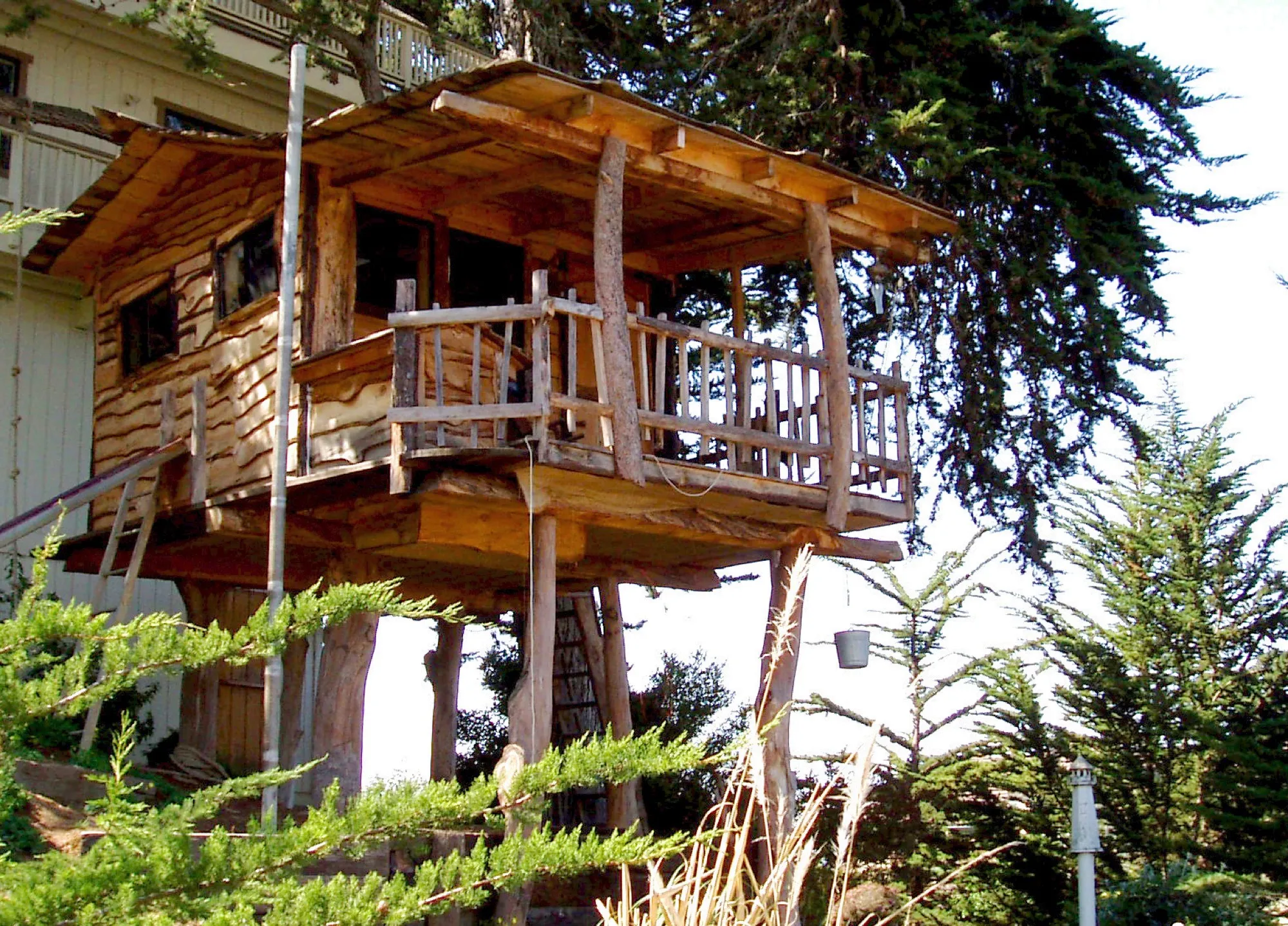 A small wooden treehouse built among leafy branches