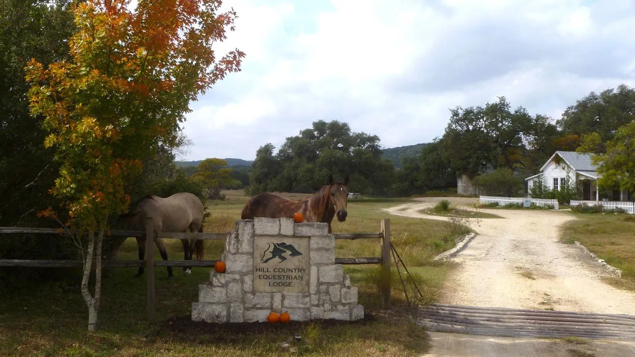 Horses beside the entrance sign at Hill Country Equestrian Lodge