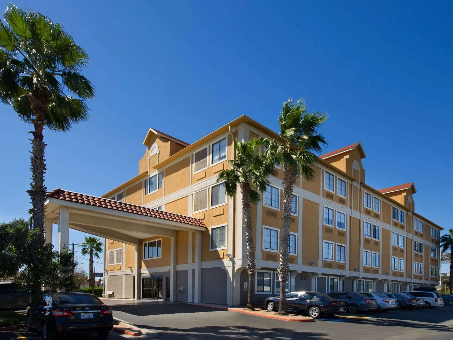 Hotel entrance and palm trees at Holiday Inn Express and Suites San Antonio Downtown Market Area
