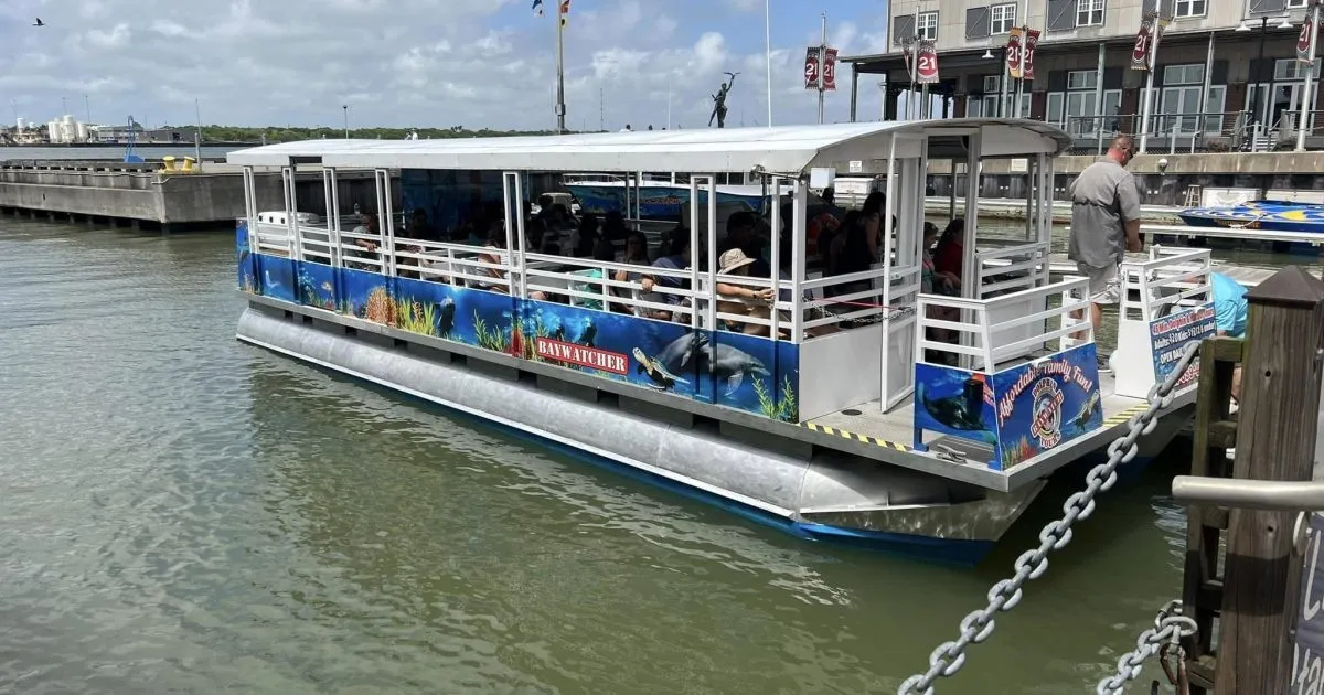 The Baywatch Dolphin Tours boat beside the dock
