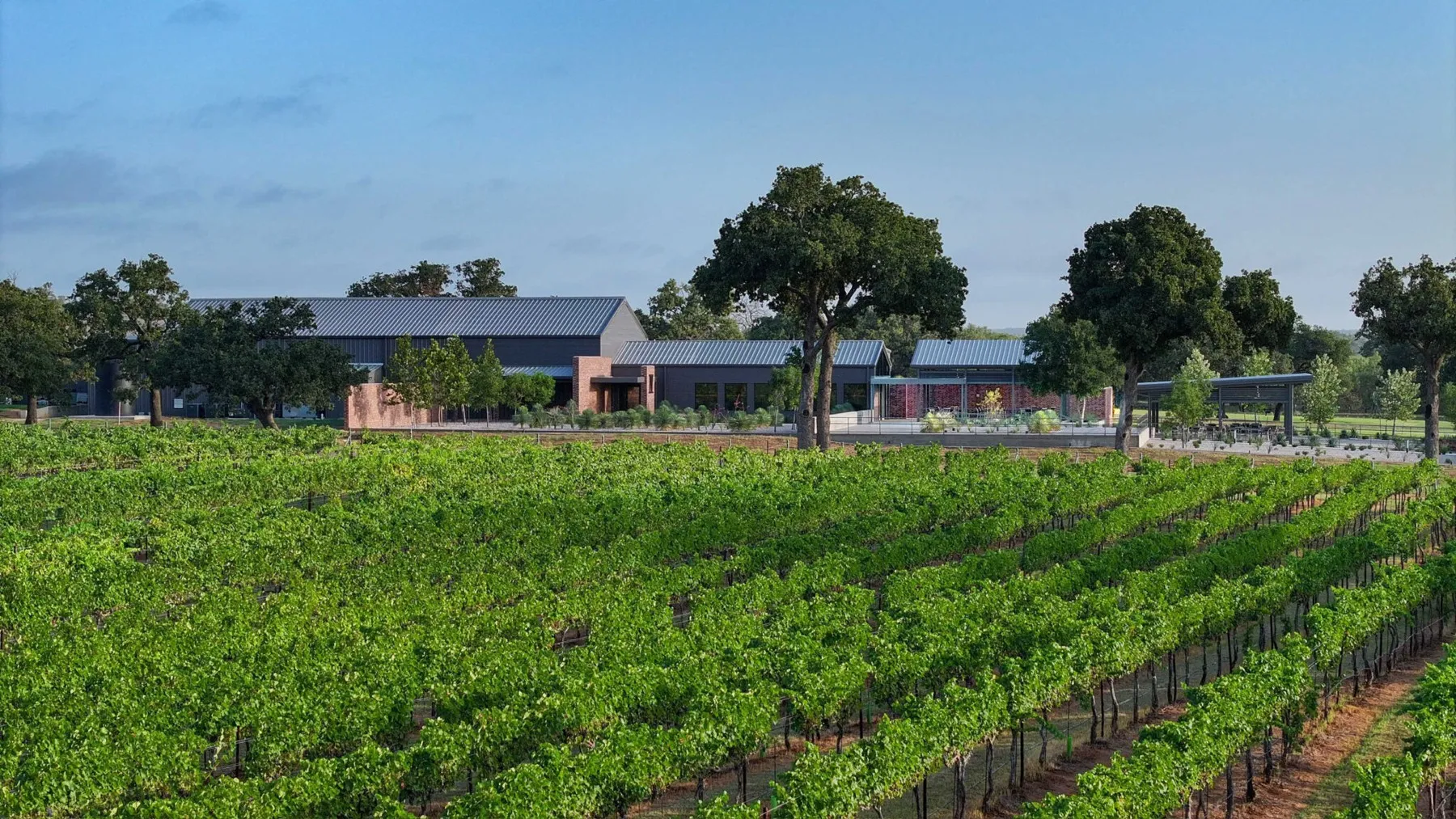 Vines outside the tasting room at Heath Sparkling Wines