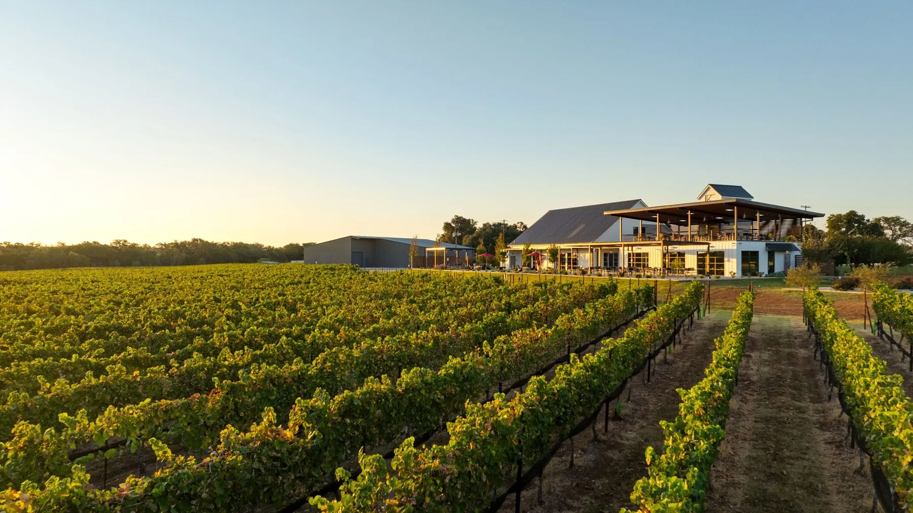 K Estate and its vineyard outside Fredericksburg