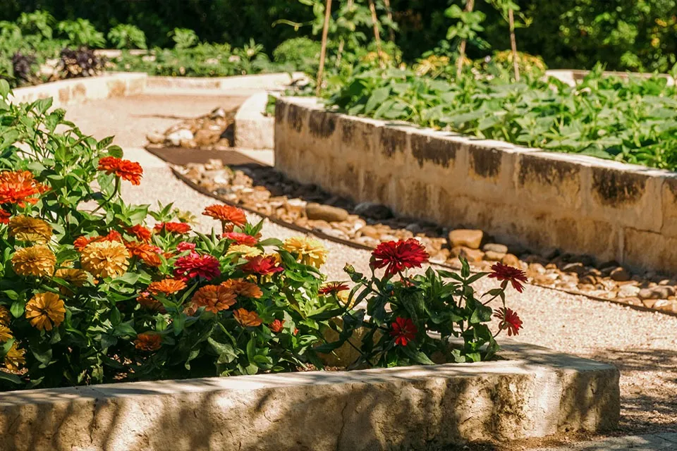 Flowers and a path at the San Antonio Botanical Garden