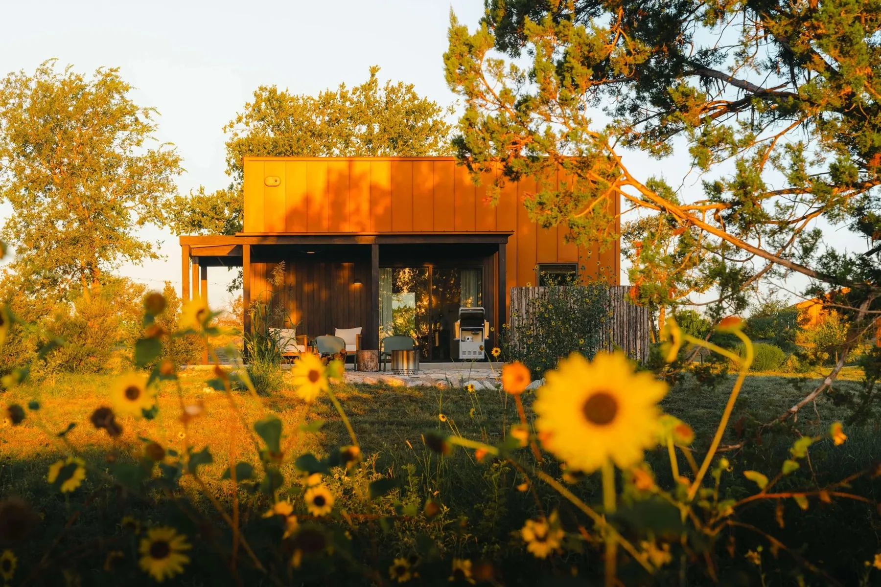 A cabin among flowers at The Martinsburg