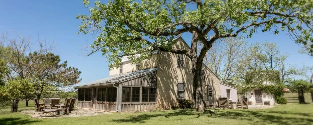 A large shade tree beside a farmhouse at Palo Alto Creek Farm