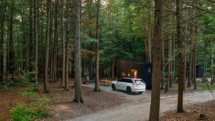 Small Postcard Cabins unit set among pine trees in LaRue