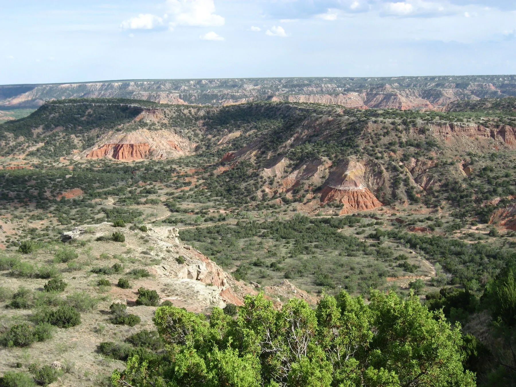 Red canyon walls and open terrain at Palo Duro Canyon
