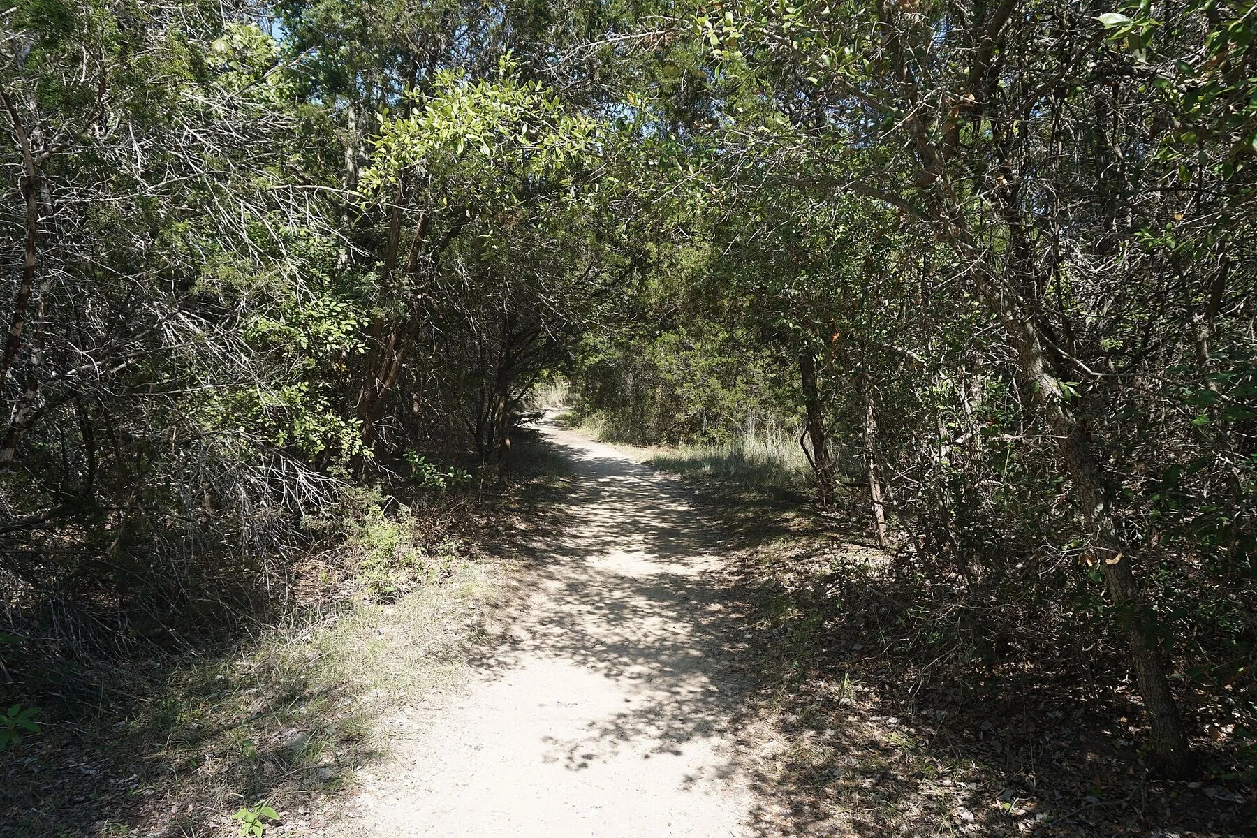 Wooded Paluxy River Nature Trail near Glen Rose