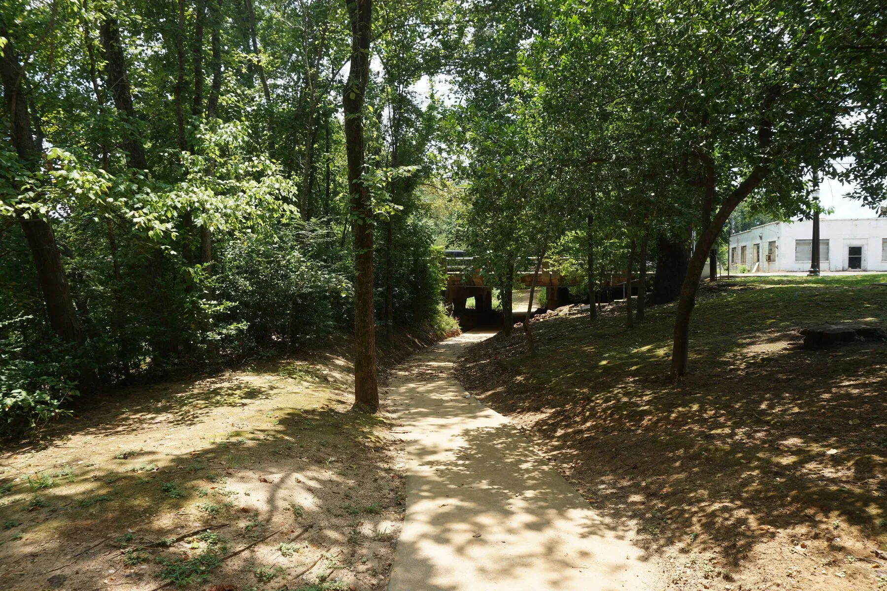 Wooded Lanana Creek Trail in Nacogdoches