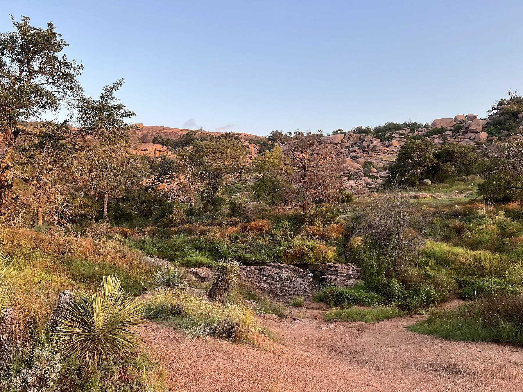 Early-morning landscape at Enchanted Rock near Fredericksburg