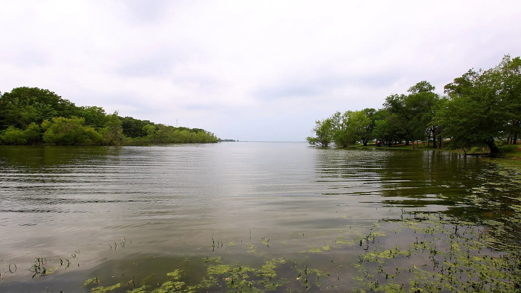 Wooded shore at Lake Tawakoni State Park