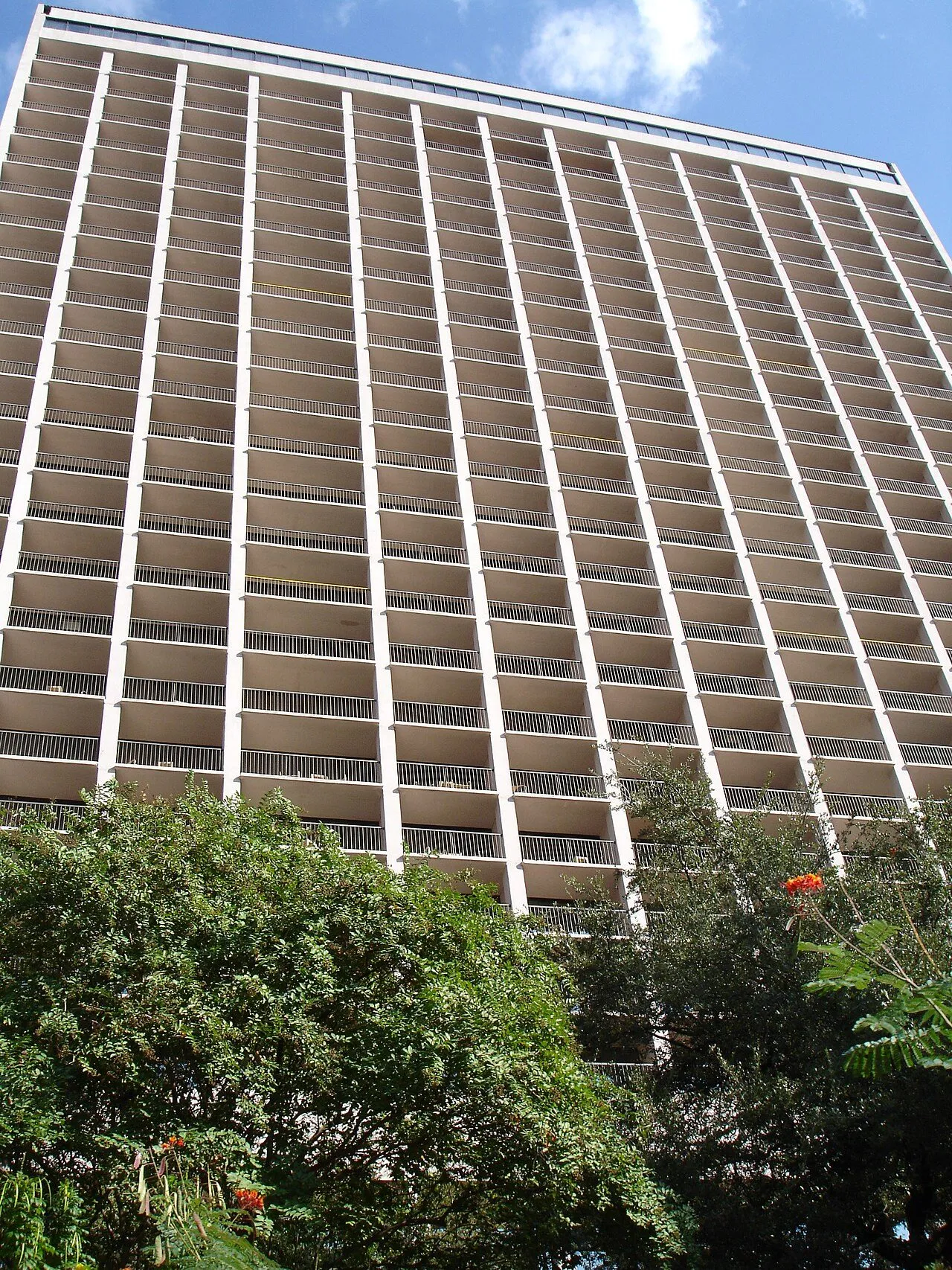 The San Antonio Marriott Riverwalk tower viewed from the river path below