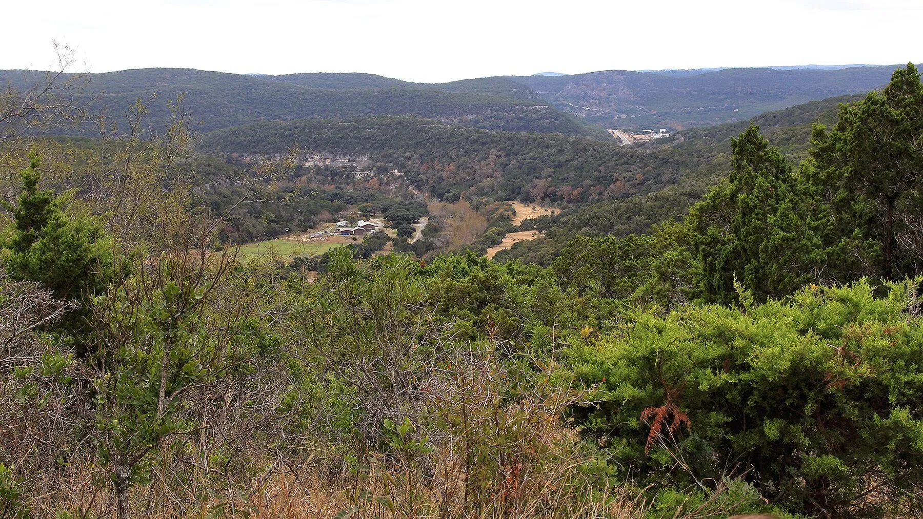 Wooded hills seen from the East Trail overlook at Lost Maples