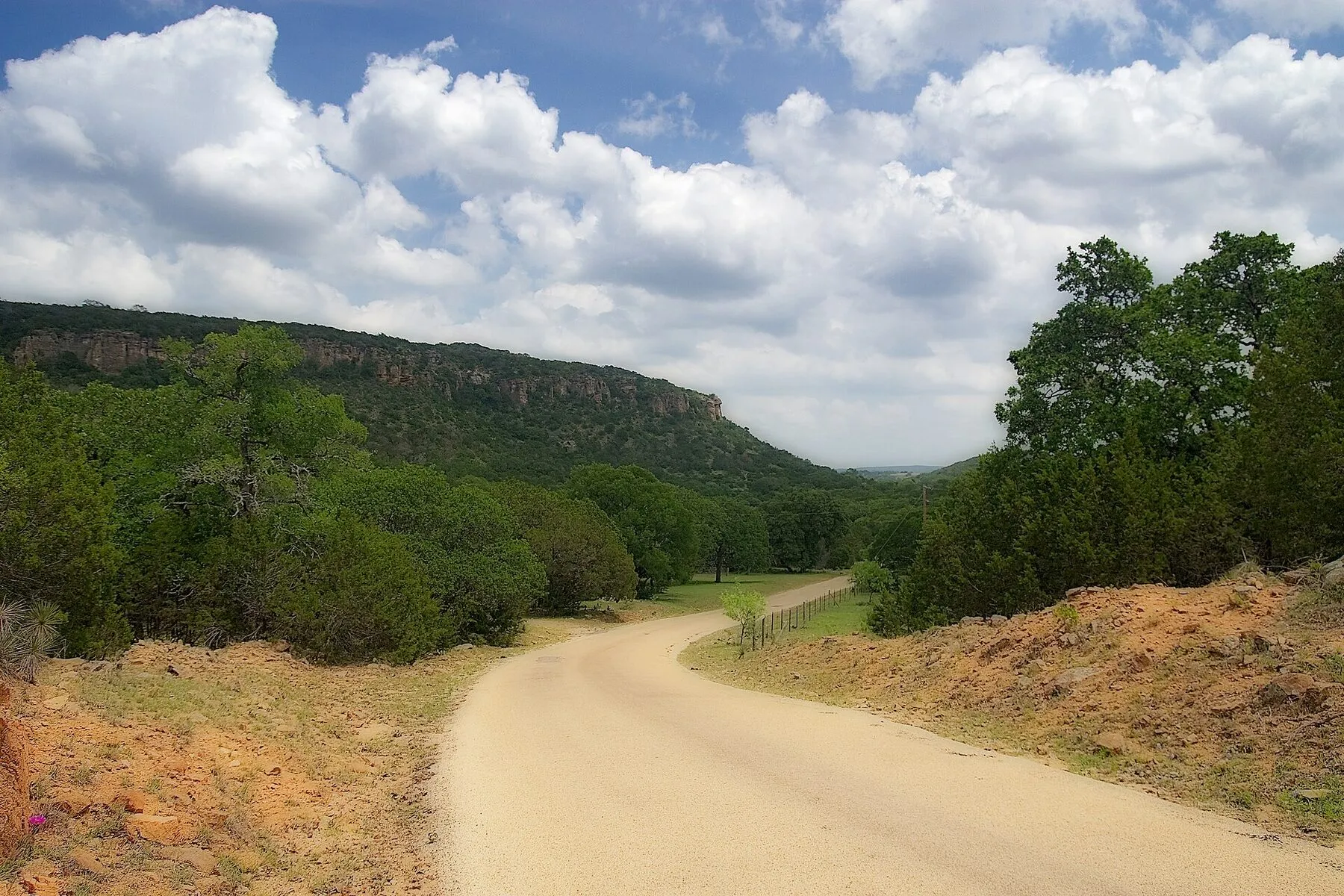 Quiet Hill Country road through wooded hills near Fredericksburg