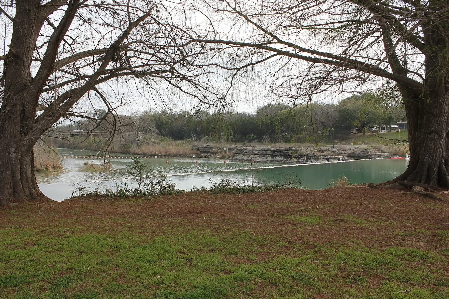 Blanco River flowing past a low limestone ledge in Blanco State Park