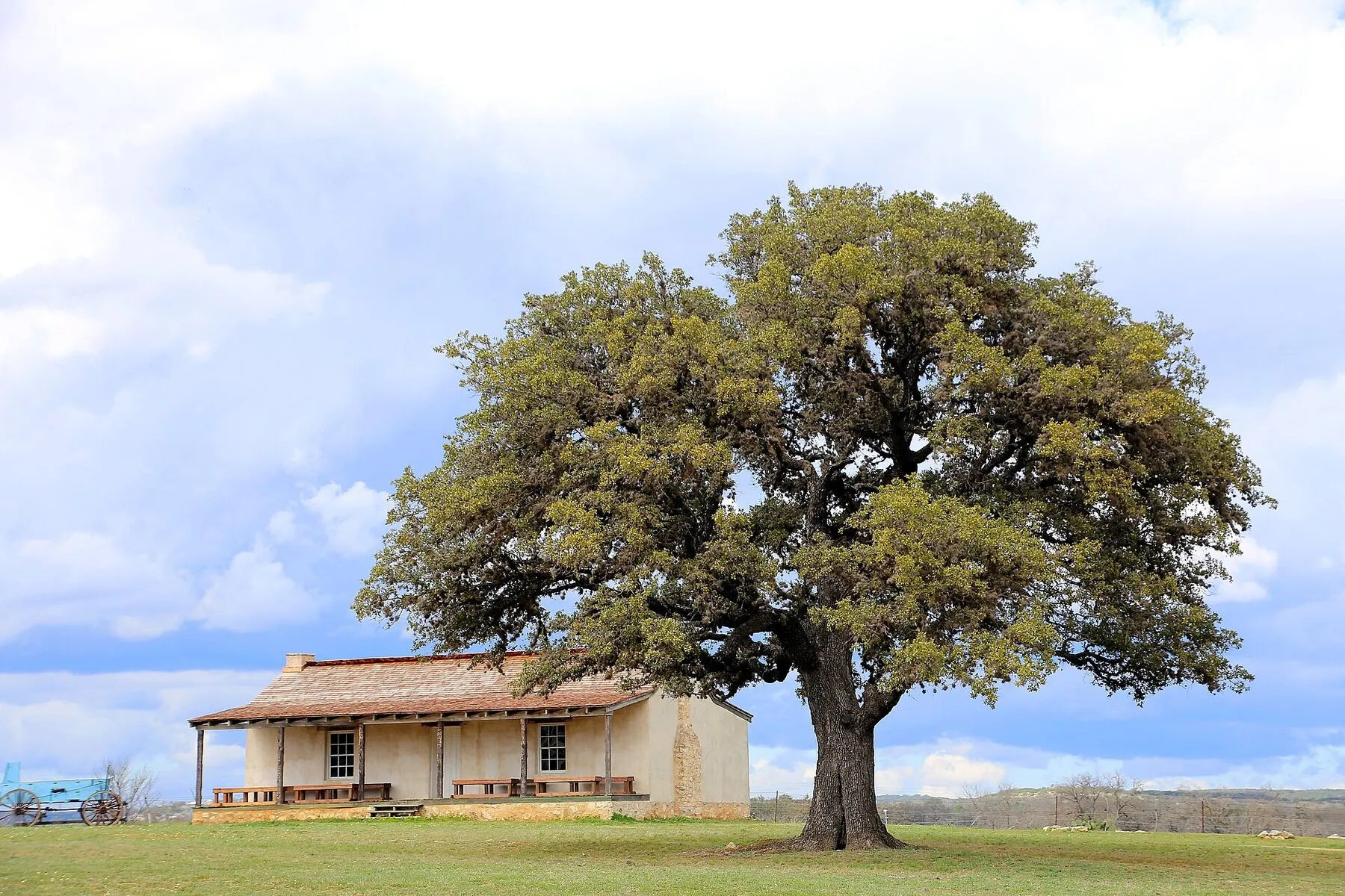 Historic stone building beneath a large tree at Fort Martin Scott