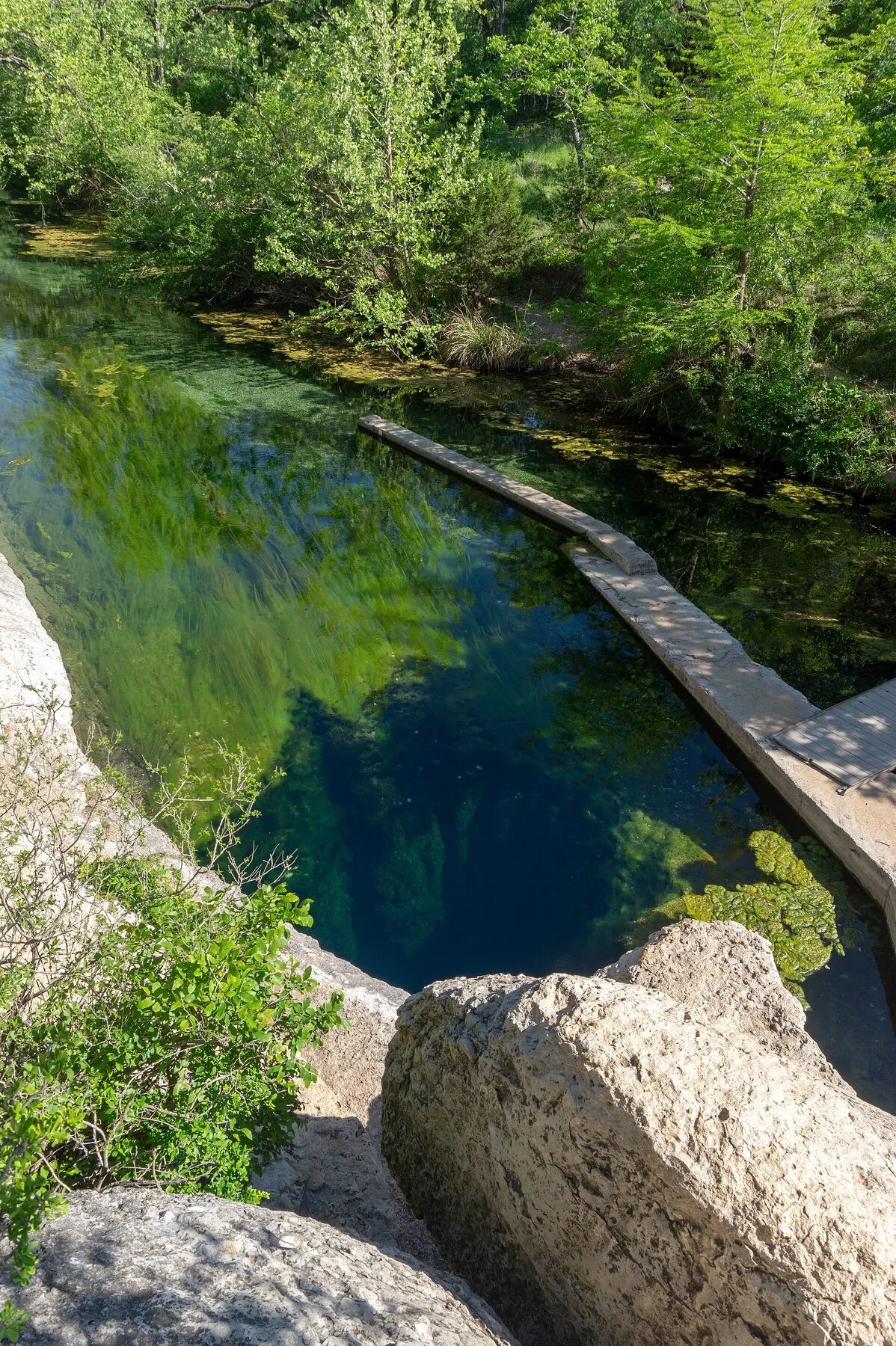 Clear water and aquatic plants in the round spring opening at Jacob's Well