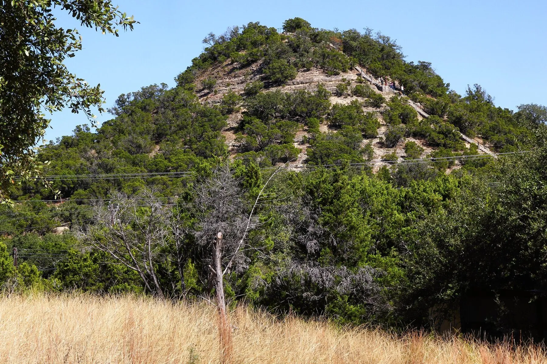 Old Baldy hill rising above trees in Wimberley, Texas