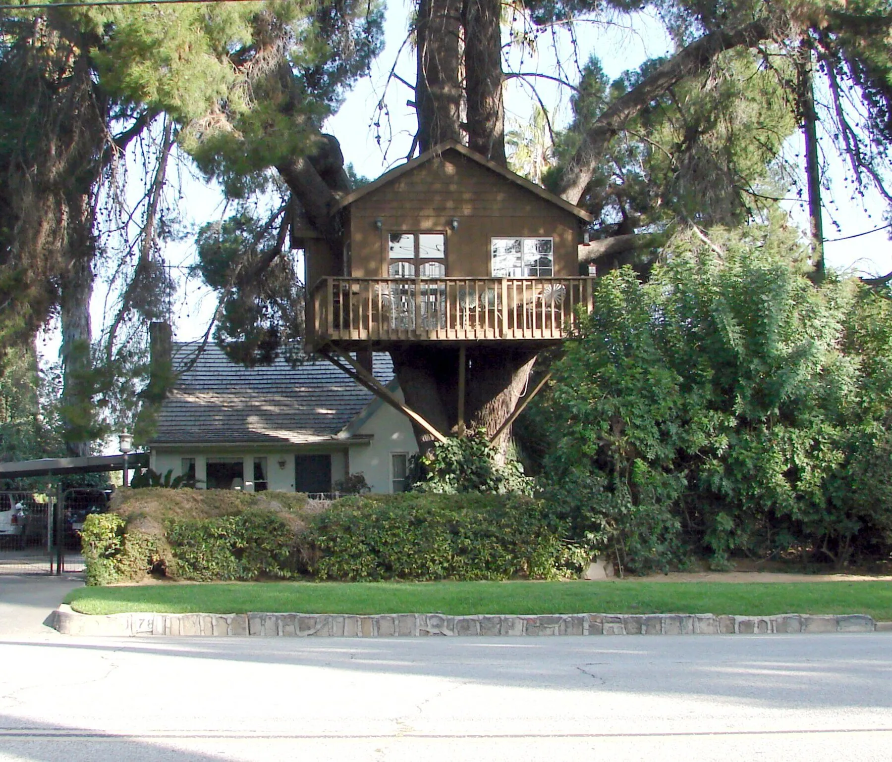 A wood treehouse built among mature cypress branches