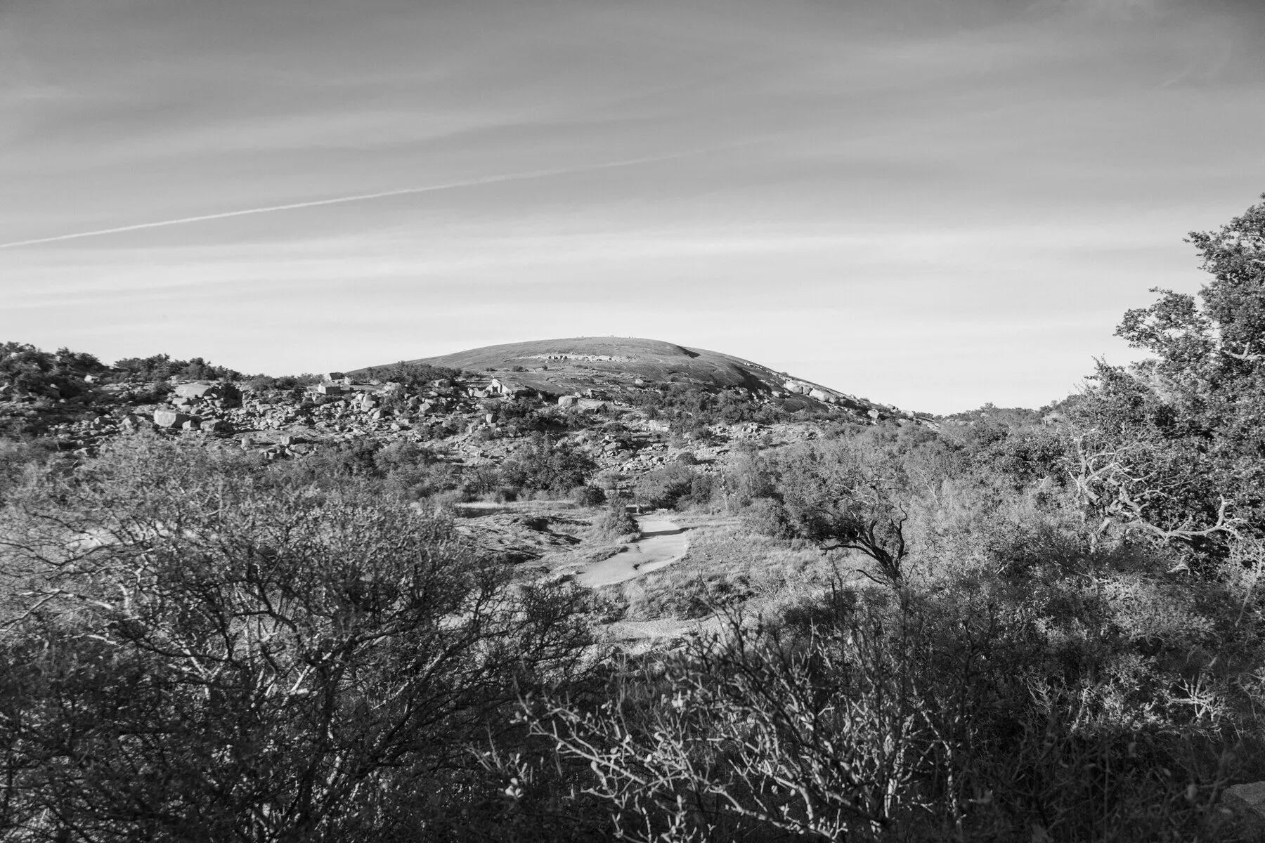 Granite dome and trees at Enchanted Rock near Fredericksburg