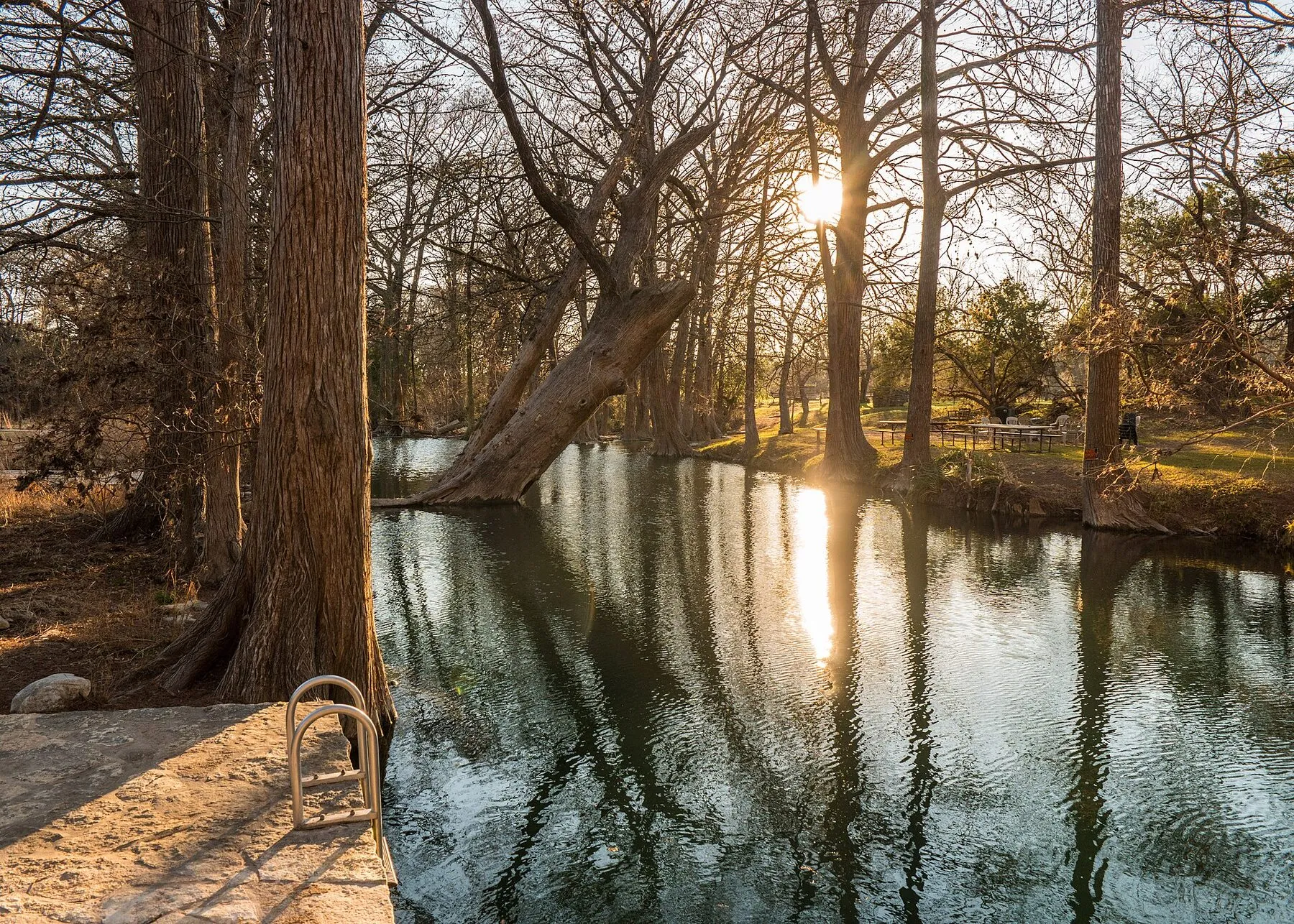 Cypress trees and clear water at Blue Hole Regional Park in Wimberley