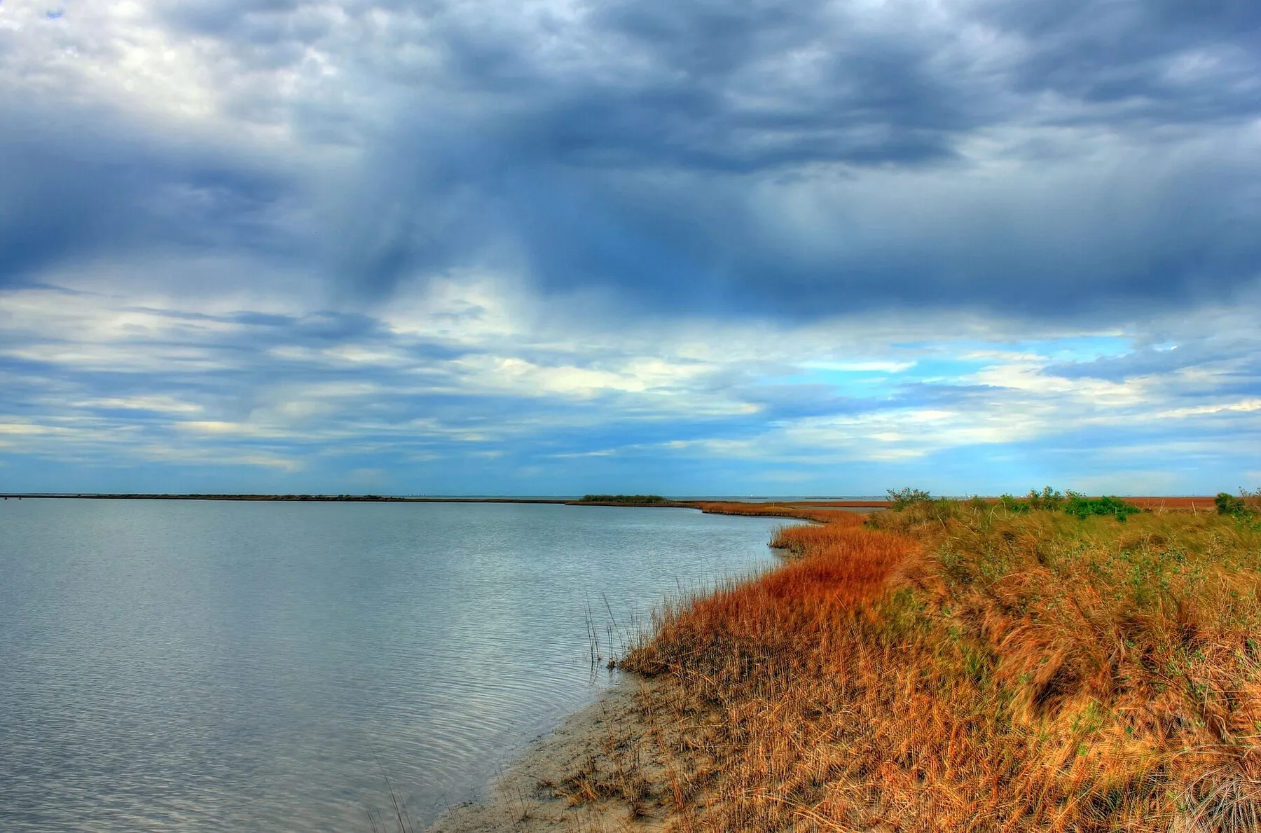 Calm inlet shoreline and marsh vegetation at Galveston Island State Park